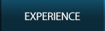 EXPERIENCE
